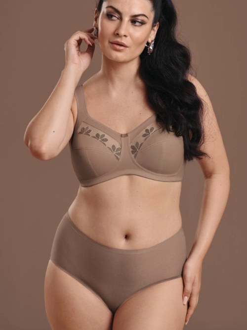 Anita Essential  high brief
