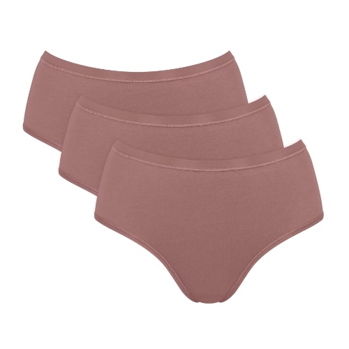 Sloggi GO Daily Cotton bruin slip