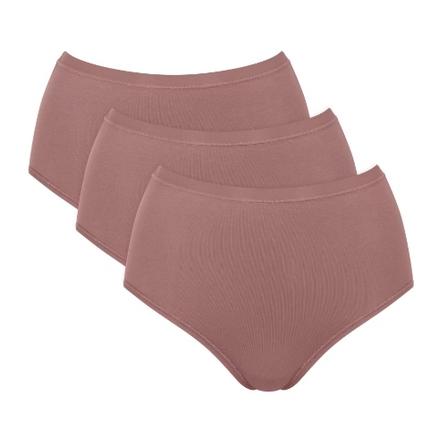 Sloggi GO Daily Cotton bruin high brief