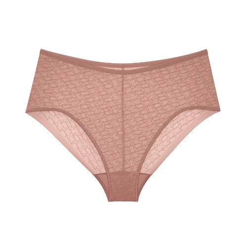Triumph Signature Sheer bruin high brief