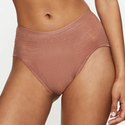 Triumph Signature Sheer bruin high brief