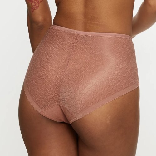 Triumph Signature Sheer bruin high brief