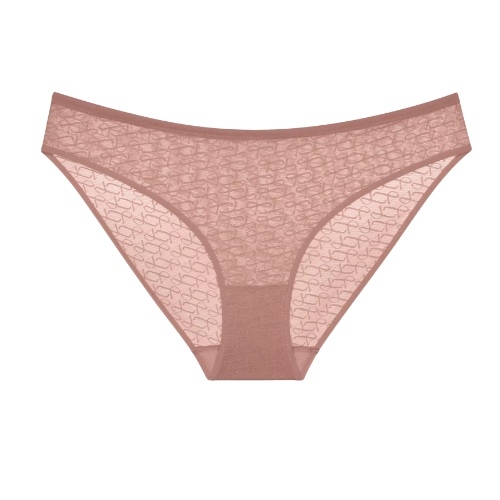 Triumph Signature Sheer bruin slip