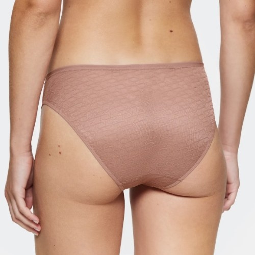Triumph Signature Sheer bruin slip