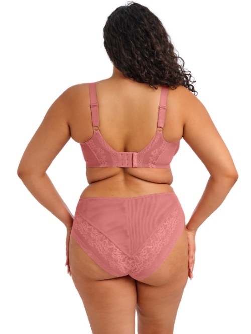 Elomi Nerina  high brief
