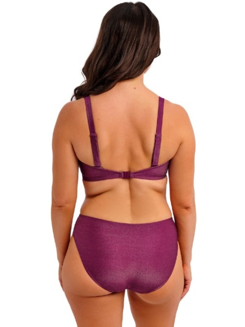 Fantasie Swim Paros Cove paars bikini broekje