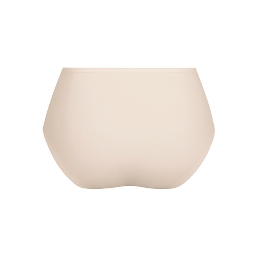 Anita Leni crystal high brief