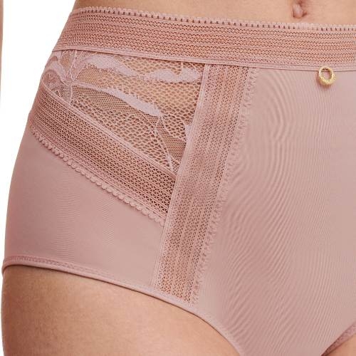 Chantelle True Lace powder high brief