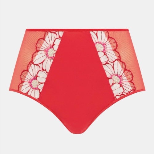 Chantelle Lush rood high brief