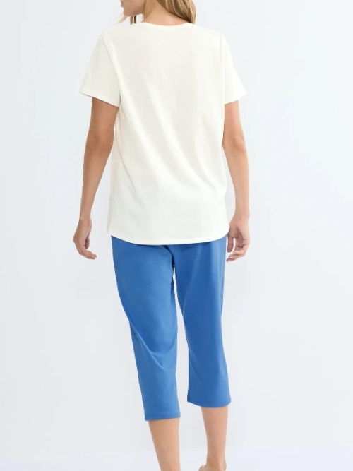 Triumph Sets wit/blauw shortama