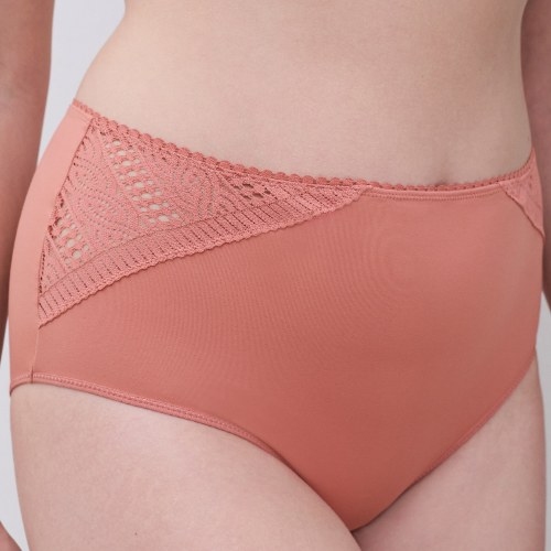 Chantelle Easy Support bruin high brief
