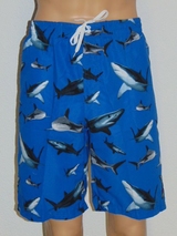 Shiwi Men Shark blauw/print zwembroek