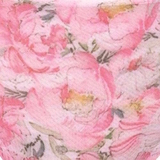 Anita Maternity Miss Rose roze/print slip