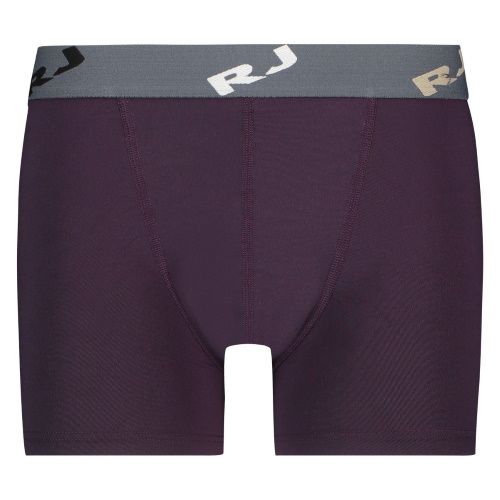 RJ Bodywear Men Pure Color aubergine micro boxershort
