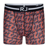 RJ Bodywear Men Pure Color aubergine micro boxershort