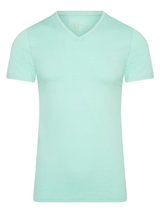 RJ Bodywear Men Pure Color mint t-shirt