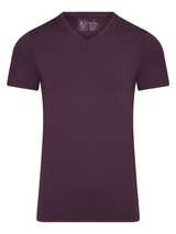 RJ Bodywear Men Pure Color aubergine t-shirt