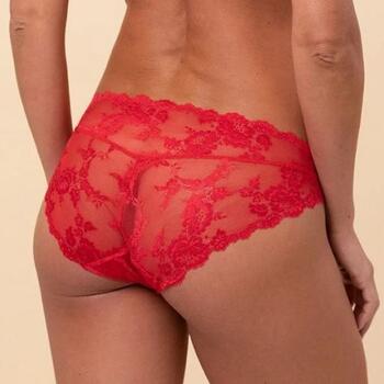 Royal Lounge Junky Dream Scarled Red Short