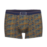 Tom Tailor Blue/Green All over  blauw/print micro boxershort