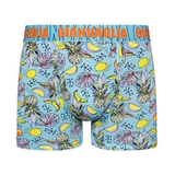Gianvaglia Pineapple blauw/print boxershort