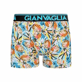 Gianvaglia Pineapple Art multicolor boxershort