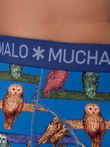 Muchachomalo Owl cobalt boxershort